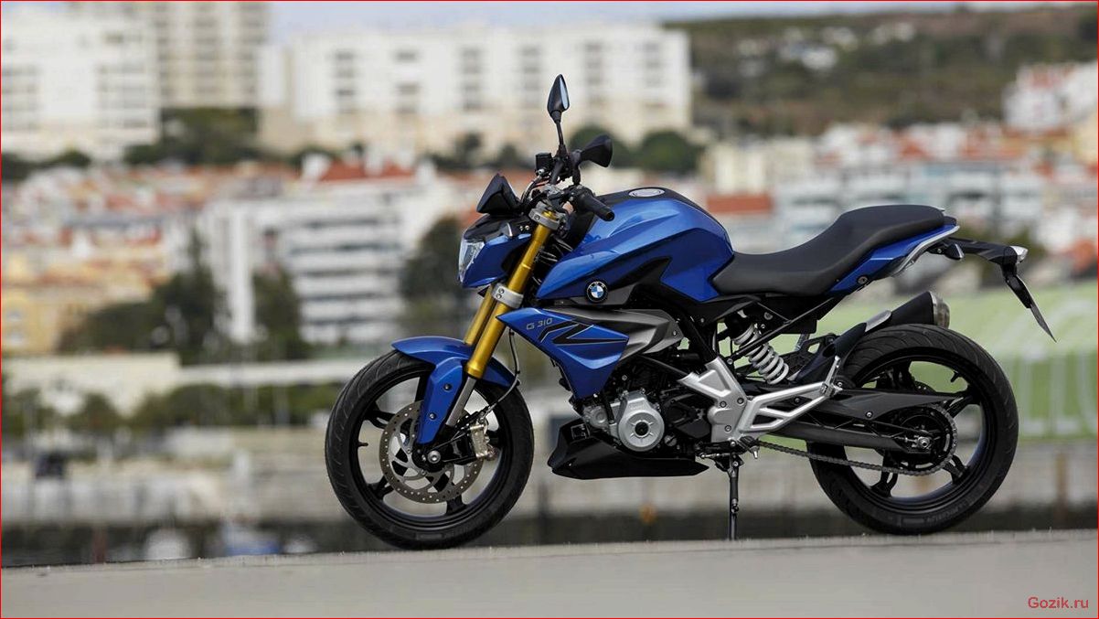 g310r, подробное, описание, особенности, модели
