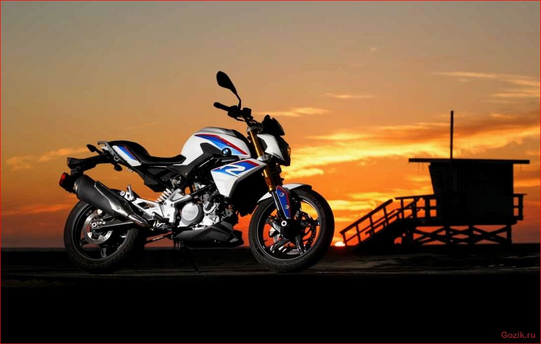g310r, подробное, описание, особенности, модели