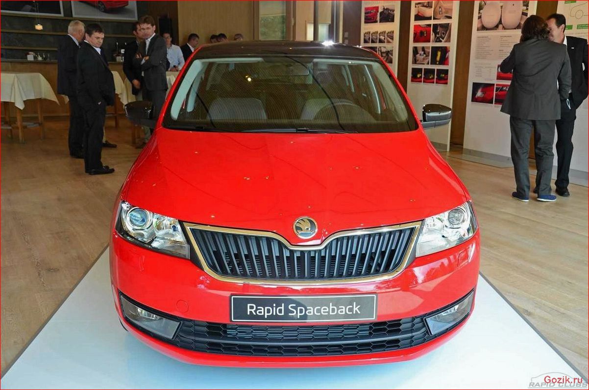 skoda, rapid, spaceback, 2014, года