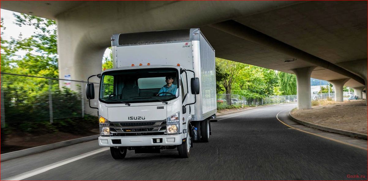 обзор, популярных, грузовиков, isuzu