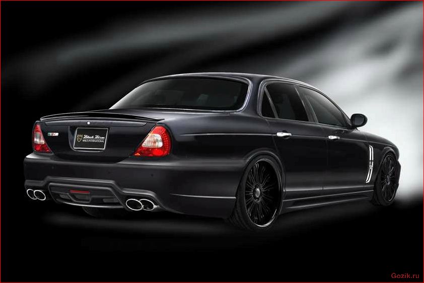 jaguar, black, bison, 2011-2012