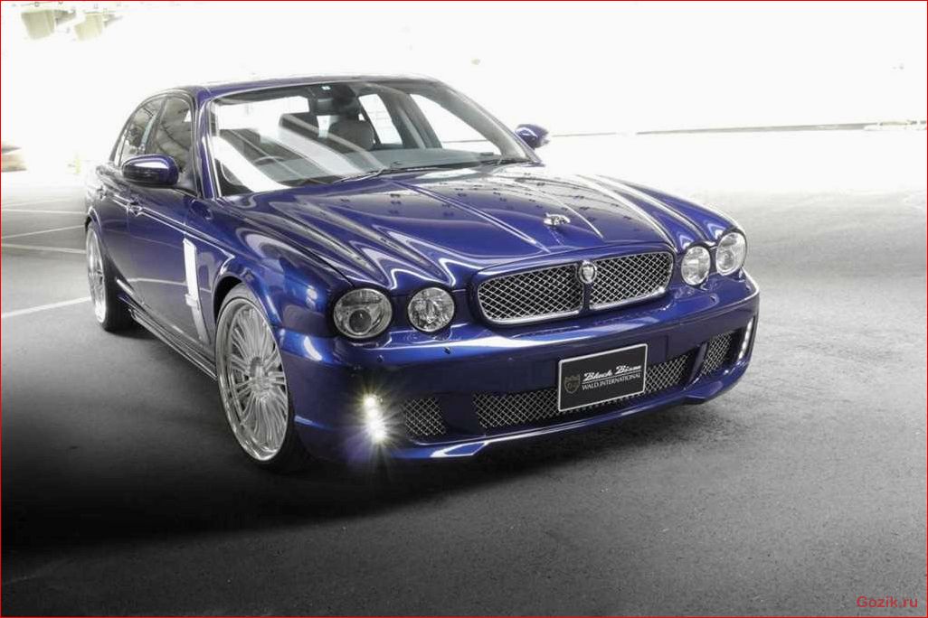 jaguar, black, bison, 2011-2012