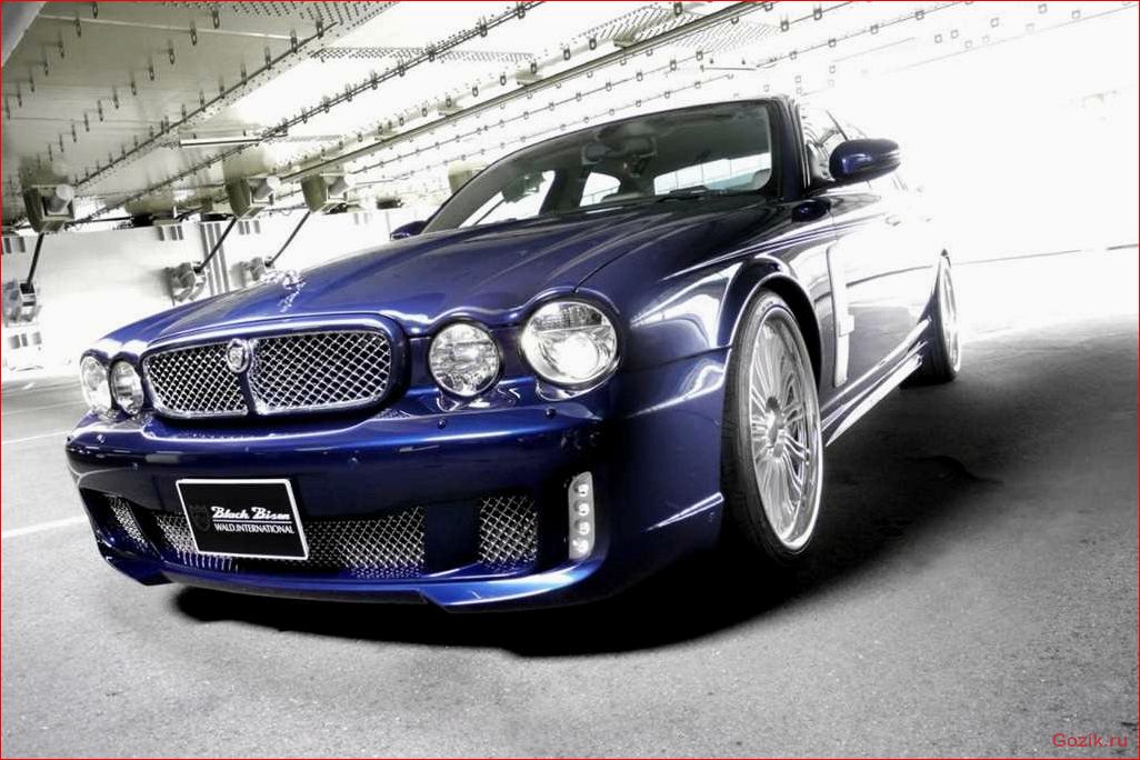 jaguar, black, bison, 2011-2012