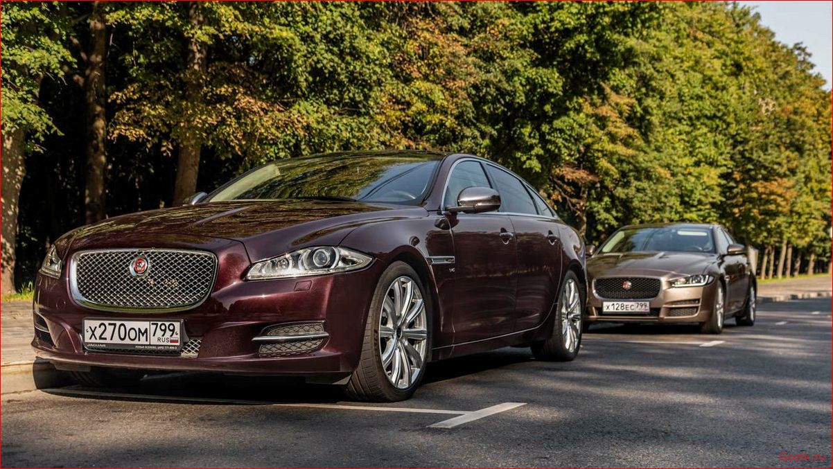jaguar, особенности, модели, технические, характеристики