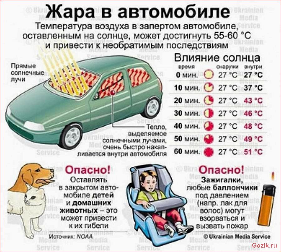 советы, автомобилиста